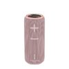 FUN 300 Portable Bluetooth Speaker