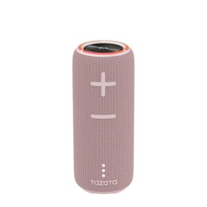 FUN 300 Portable Bluetooth Speaker