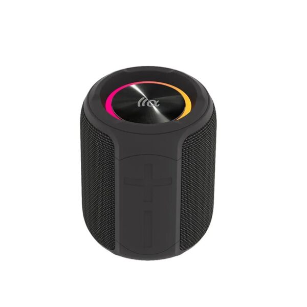 PALM 100 Portable Bluetooth Speaker