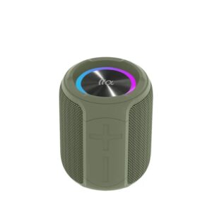 PALM 100 Portable Bluetooth Speaker