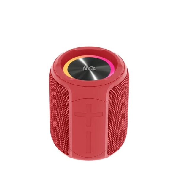 PALM 100 Portable Bluetooth Speaker