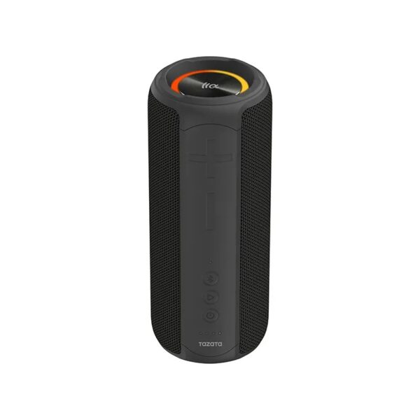 PALM 300 Portable Bluetooth Speaker (BLACK)