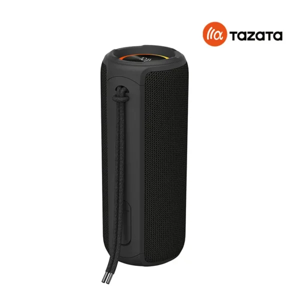 PALM 300 Portable Bluetooth Speaker (BLACK)