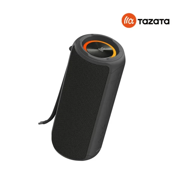 PALM 300 Portable Bluetooth Speaker (BLACK)