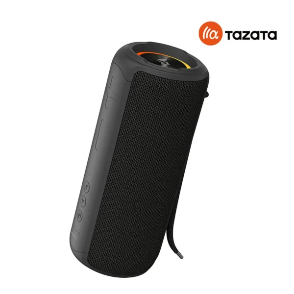 PALM 300 Portable Bluetooth Speaker (BLACK)